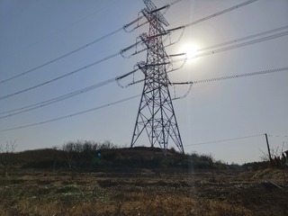 1000244643