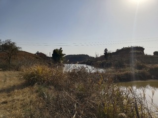 1000244654