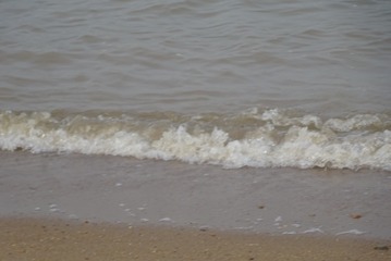 D85D6B8F-9514-4686-96D0-8CFC4D4A0F52/L0/001