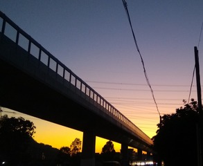 524769