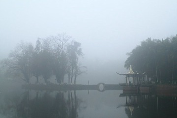 DPP_0459.JPG
