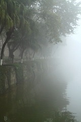 DPP_0461.JPG