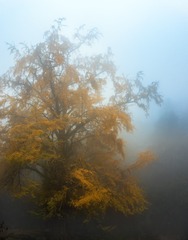 15F72751-BD22-48F6-8DFE-ABBCBE4E6764/L0/001