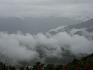 SDC10849.jpg