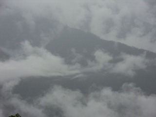 SDC10855.jpg