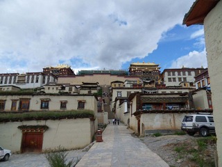 SDC10881.jpg