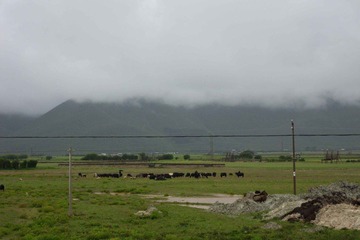 SDC11019.jpg