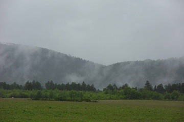 SDC11141.jpg