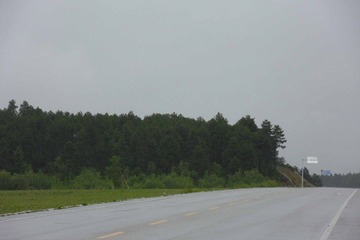 SDC11142.jpg