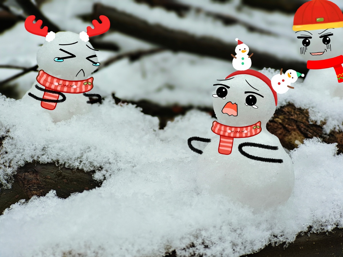 南方的雪太小了只够rua几个小雪球表情都得后期弄上去00