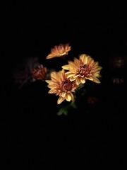 D782DC61-4165-4FB2-A31E-A74AD64E6A86/L0/001
