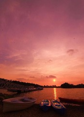 DSC_4323.JPG