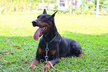 DSC_1965.JPG