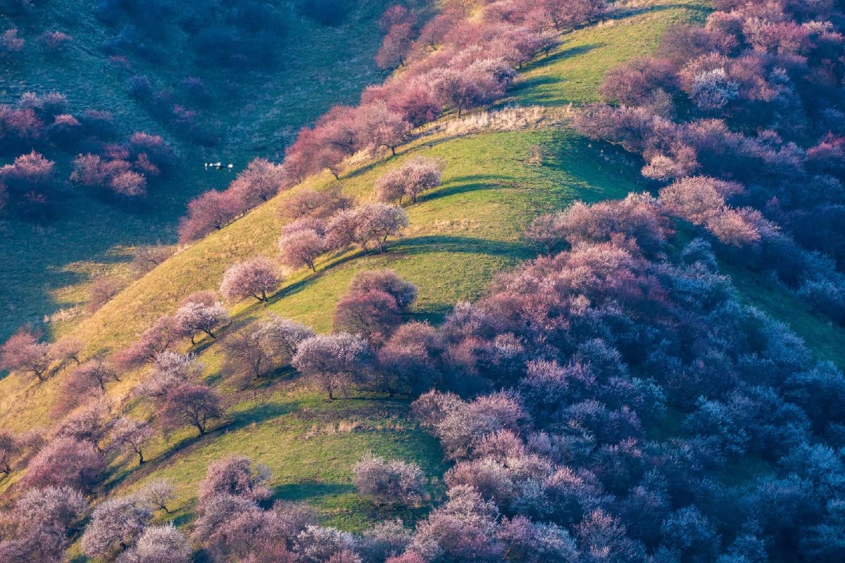 大美新疆塞外江南伊犁