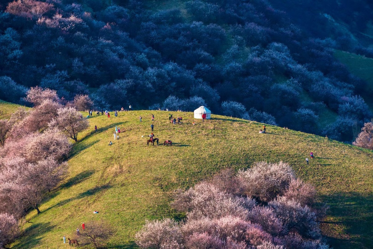 大美新疆塞外江南伊犁