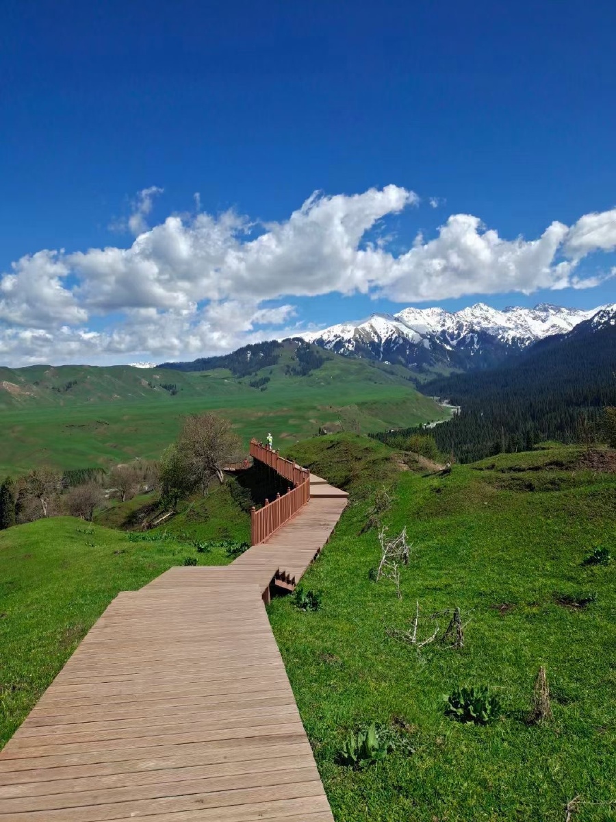 大美新疆塞外江南伊犁