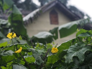 P7071474.jpg