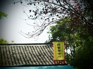 PA111006.jpg