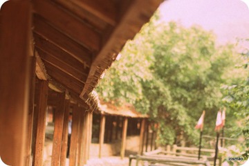 11-P5230196.JPG