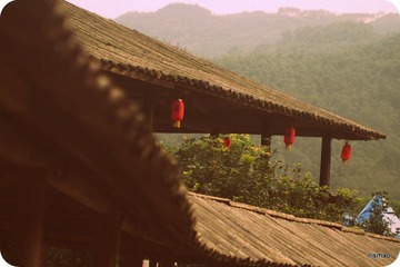 16-P5230202.JPG