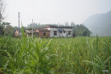 05-P5240324.JPG