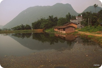 12-P5240360.JPG