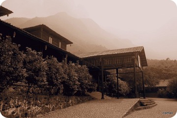 21-P5240441.JPG