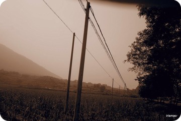 20-P5240416.JPG