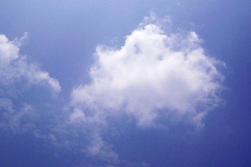 RSCN3847