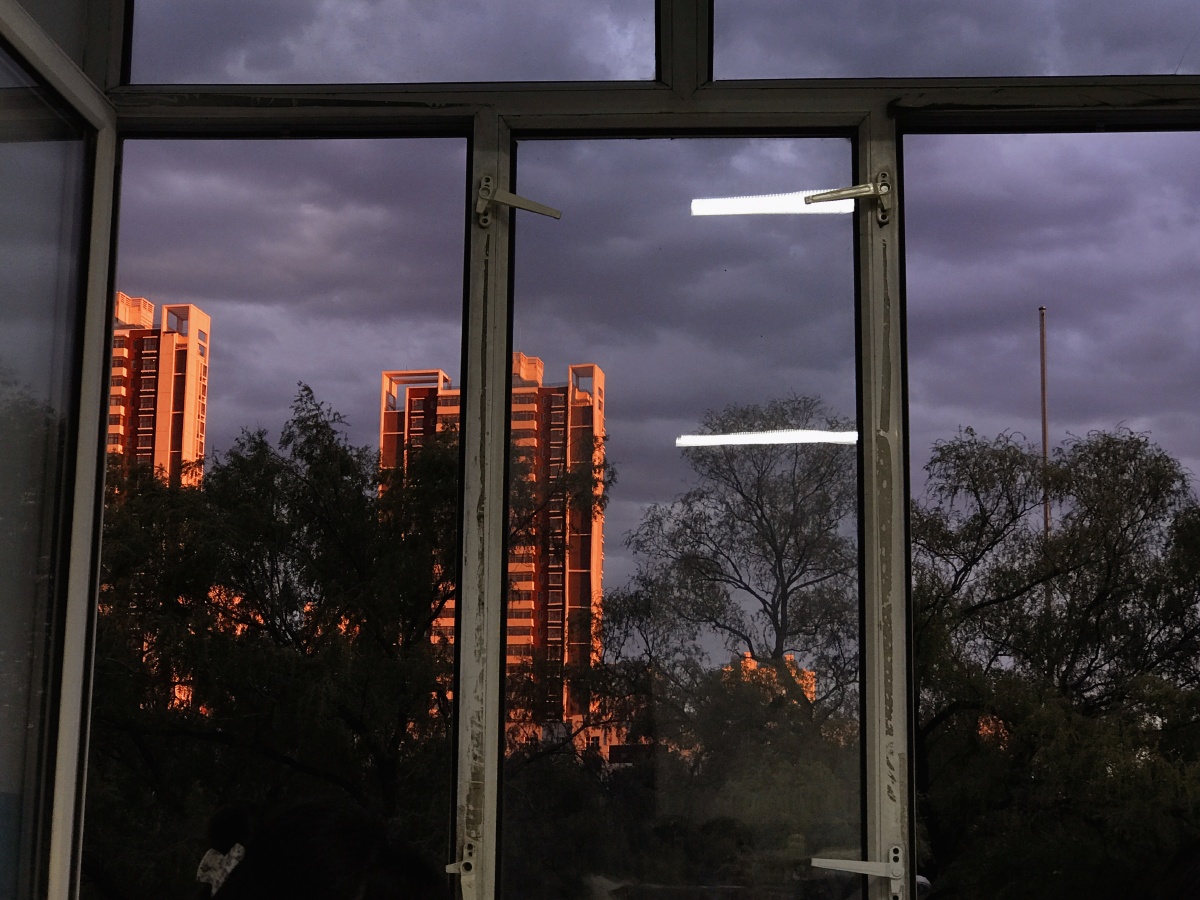 学校窗外的风景
