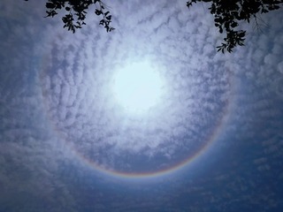 3B655F1D-9A7D-44B5-8191-A54AEB170790/L0/001