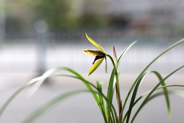 160072