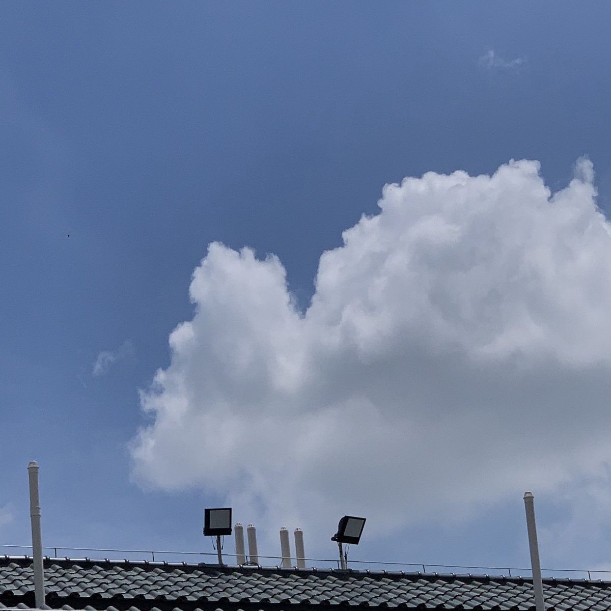 手机记录下的一些些软绵绵的云