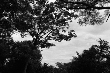 IMGP0912