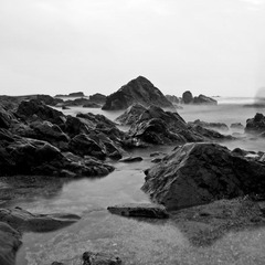 IMG_5594-黑白-f.jpg