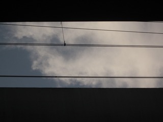 385ECEDD-CA51-47DD-AFC7-E7B61E57233F/L0/001