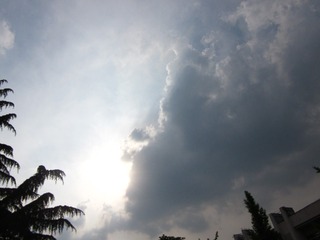 849A664F-4065-44D2-AE91-920282B3B804/L0/001