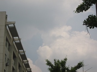 8D239D6C-E6F1-46B9-8B20-997BB81F1D70/L0/001