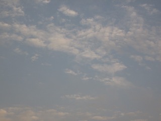 00814831-098A-4D7C-8B3F-FA36EC09B307/L0/001