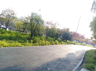 913264