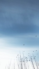 E5C27962-958D-4A00-BE11-6F6E3A9EF6E3/L0/001
