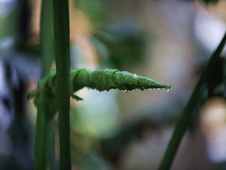 IMG_0876.jpg