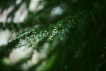 IMG_1073.jpg