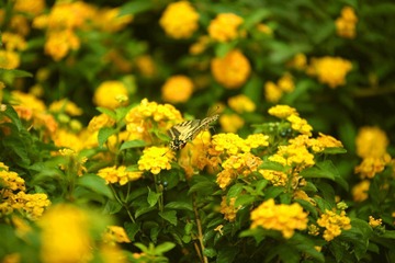 IMG_1108.jpg