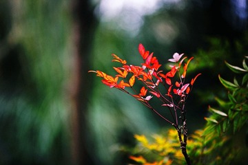 IMG_2098.JPG