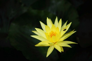IMG_2151.JPG