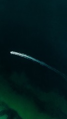1000076238
