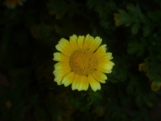 E14ECE7F-BBD0-4386-9FD0-48CA5B7302CB/L0/001