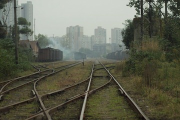 IMG_6481.jpg