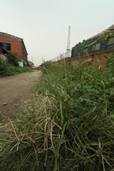 IMG_5579.JPG